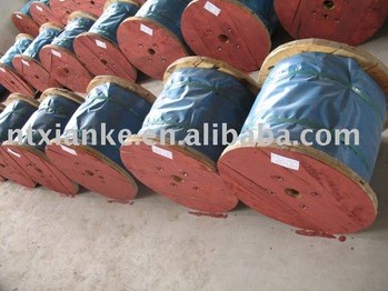 Spring Steel Wire Rope